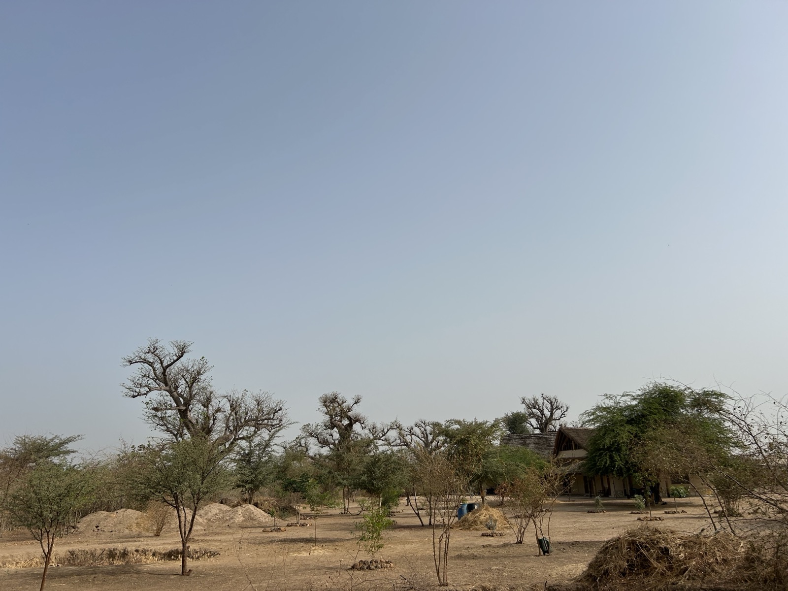 Vue du terrain Mélanzé à Thiafoura